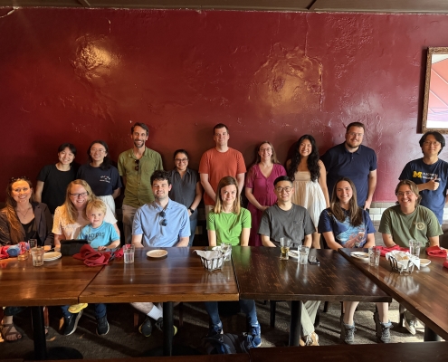 Mehta, Maddox and Whiteford labs